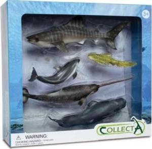 Figurka Collecta Zestaw 5 morskich zwierząt w opakowaniu 89671 COLLECTA 1