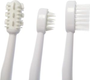 Dreambaby Zestaw szczoteczek do zębów (DRE000111) 3