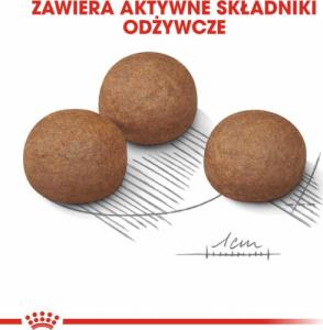 Royal Canin Maxi Digestive Care 12kg 5