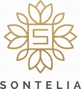 Sontelia Doniczka Marilyn Monroe w kolorze złotym 3