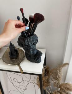 Sontelia Doniczka, Dawid rzeźba w kolorze czarnym 2