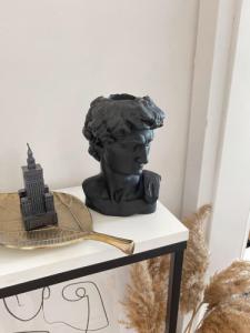 Sontelia Doniczka, Dawid rzeźba w kolorze czarnym 3