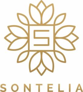 Sontelia Doniczka , Groot w kolorze złotym 3