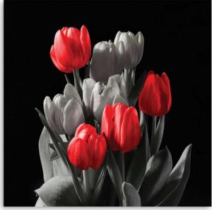 CaroGroup OBRAZ NA PŁÓTNIE Tulipan Czerwony Szary 30x30 1