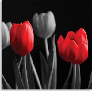 CaroGroup OBRAZ CANVAS Kwiaty Tulipany Czerwony Szary 30x30 1