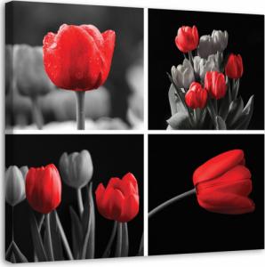 CaroGroup OBRAZ ŚCIENNY Zestaw czerwonych tulipanów 30x30 1