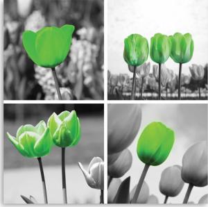 CaroGroup OBRAZ NA PŁÓTNIE Zestaw Zielone Tulipany 30x30 1
