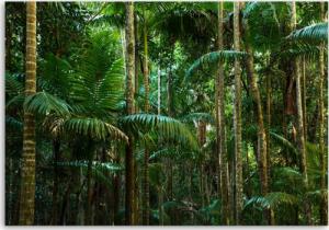 CaroGroup OBRAZ NA PŁÓTNIE Las Palmowy Natura 100x70 1
