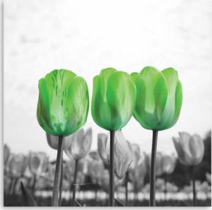 CaroGroup OBRAZ NA PŁÓTNIE Kwiaty Zielone Tulipany 30x30 1