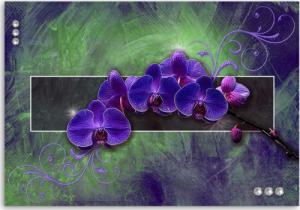 CaroGroup OBRAZ CANVAS Orchidea Kwiat Natura Fiolet 100x70 1