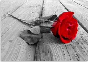 CaroGroup OBRAZ NA PŁÓTNIE Czerwona Róża na Deskach 100x70 1