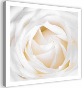CaroGroup OBRAZ NA PŁÓTNIE Delikatna Biała Róża 30x30 1
