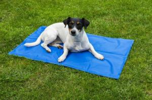 Pro Pet Mata chłodząca dla zwierząt 81 x 96 cm 3