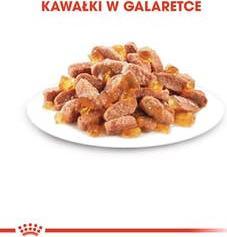 Royal Canin Royal Canin FHN Kitten Instinctive w sosie - mokra karma dla kociąt - 12x85g 4