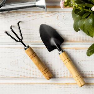 ProGarden Narzędzia ogrodowe mini łopatka grabki pazurki zestaw narzędzi ogrodowych do ogrodu 2 elementy 2