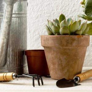 ProGarden Narzędzia ogrodowe mini łopatka grabki pazurki zestaw narzędzi ogrodowych do ogrodu 2 elementy 4