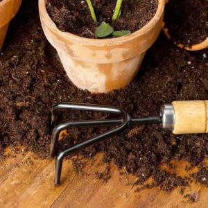 ProGarden Narzędzia ogrodowe mini łopatka grabki pazurki zestaw narzędzi ogrodowych do ogrodu 2 elementy 6