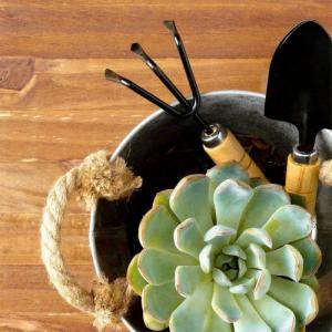 ProGarden Narzędzia ogrodowe mini łopatka grabki pazurki zestaw narzędzi ogrodowych do ogrodu 2 elementy 8