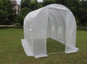 Saska Garden Szklarnia 300 cm x 200 cm x 200 cm (1039954) 4