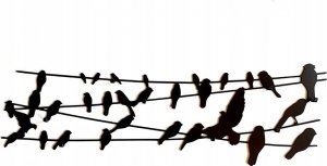 Decolicious Wieszak na ścianę BIRDS ON WIRE 1