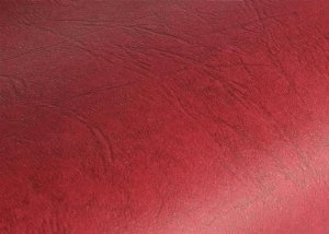 Argo Karton do bindowania skóropodobny A3 DELTA 432091 bordo 100 szt 2
