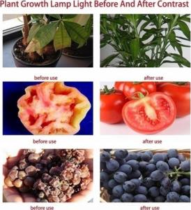 Tech-Led NOWOŚĆ HALOGEN GROW 100W led DO UPRAWY ROŚLIN W-WA 5