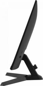 Monitor iiyama G-Master G2450HSU-B1 Black Hawk 6