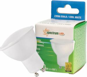 Spectrum LED Żarówka LED GU10 1,5W 230V zimna CW WOJ13269 SPECTRUM 1