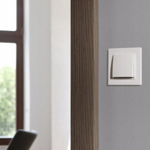 Kontakt-Simon Osprzęt - Simon10 Gniazdo głośnikowe pojedyncze -1 kolumna głośnikowa (moduł). Przekrój przew. dla wyjścia 6 mm2 biały CGL2.01/1 6