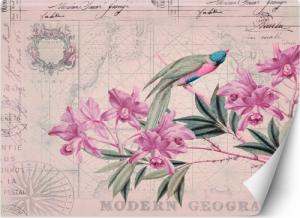 CaroGroup FOTOTAPETA Kwiaty Ptaki Vintage Różowy 150x105 1