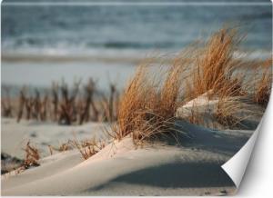 CaroGroup FOTOTAPETA Plaża Morze Trawy Wydmy 100x70 1