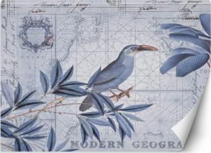 CaroGroup FOTOTAPETA 3D Liście Mapa Ptak Niebieski 100x70 1
