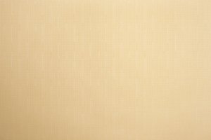 Domoletti ROLLER BLIND SHANTUNG 877 80X170 2