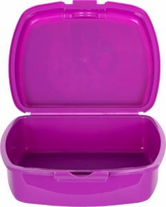 Astra Śniadaniówka Rainbow High Astra 3