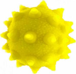 Midex Gniotek piłka z kolcami 8 cm Midex 7