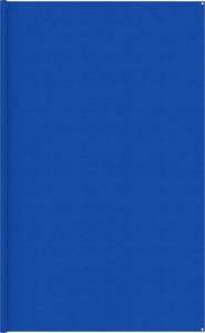vidaXL Wykładzina do namiotu, 400 x 500 cm, niebieska, HDPE 1