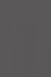 YRKE STOLIK KAWOWY-75x45x18-GRAFIT-NOGI BUKOWE 6