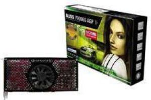 Karta graficzna Gainward GeForce 7900 7900GS 512MB GS TV DD AGP 1