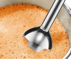 Blender Bosch MSM2610B 6