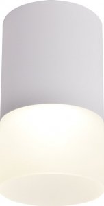 Lampa sufitowa Selsey SELSEY Spot Elvenes biały mrożony średnica 6,4 cm 1