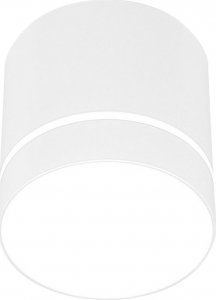 Lampa sufitowa Selsey SELSEY Spot Elvenes biały średnica 7,9 cm 1