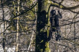 Piła łańcuchowa Greenworks GD40TCS 40 V 25 cm 4