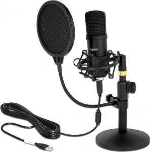 Mikrofon Delock Profesjonalny system do podcastów i gier (66300) 1