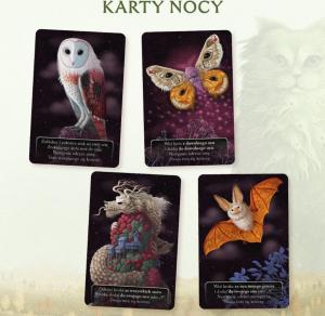 Nasza Księgarnia Gra planszowa Koty 3