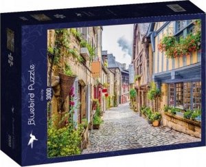 Bluebird Puzzle Puzzle 3000 Stare miasto 1