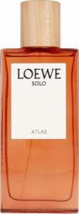 Loewe Solo Atlas EDP 100 ml 1