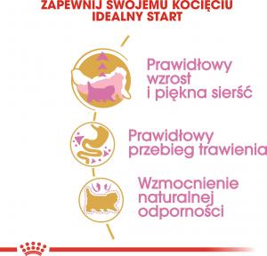 Royal Canin Persian Kitten karma sucha dla kociąt do 12 miesiąca życia rasy perskiej 10 kg 4