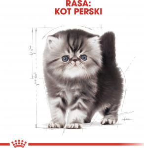 Royal Canin Persian Kitten karma sucha dla kociąt do 12 miesiąca życia rasy perskiej 10 kg 6
