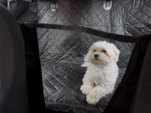 KIK Mata samochodowa dla zwierząt pokrowiec wodoodporna 11