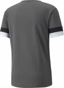 Puma Koszulka męska Puma teamRISE Smoked szara 704932 13 : Rozmiar - XL 2
